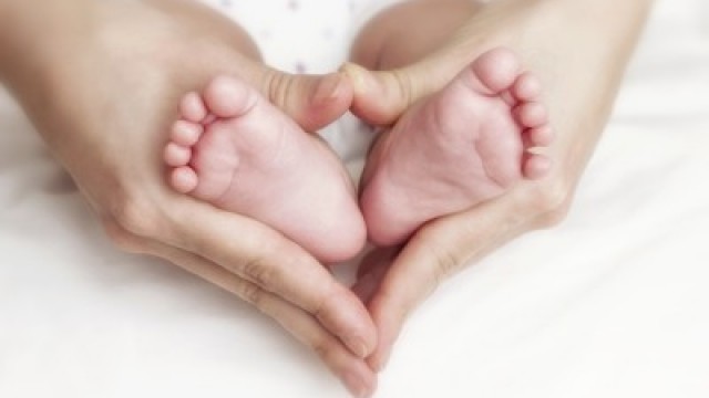 Convenios de Maternidad